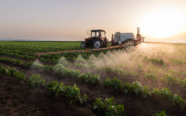 Pest Prevention Services in Ignacio, CO