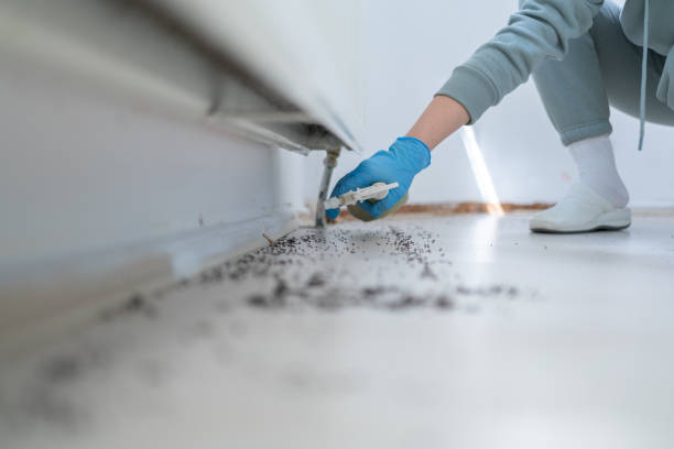 Best Pest Control Treatment  in Ignacio, CO